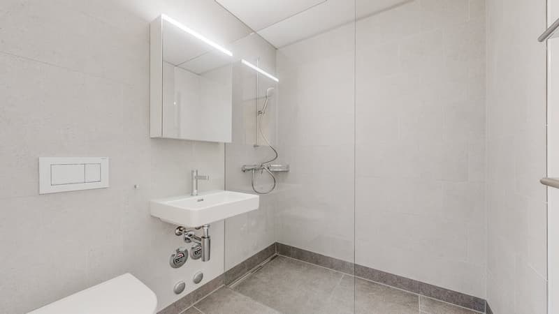 45-Zimmer-Wohnung-in-Kriens-6631050906-WCDU.jpg