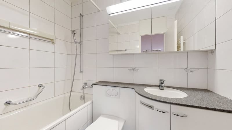 35-Zimmer-Wohnung-in-Winterthur-Badezimmer.jpg
