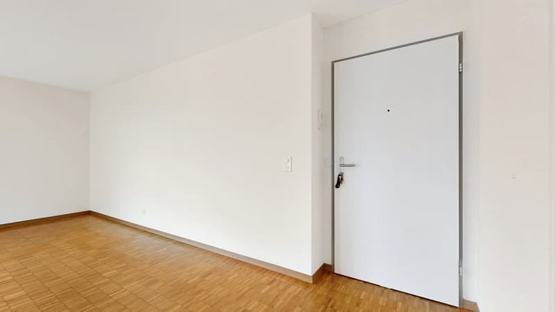 35-Zimmer-Wohnung-in-Winterthur-Eingangsbereich.jpg
