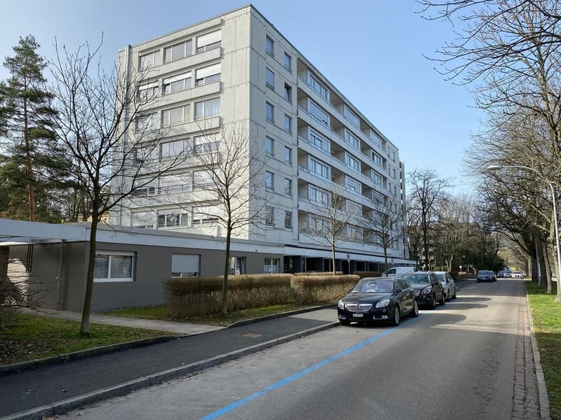 Piccolo ma bello - La tua nuova casa nel quartiere centrale di Gellert! (2)