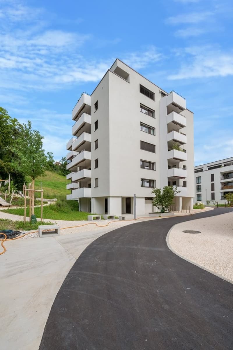 Geniessen Sie den Komfort einer modernen Wohnung (1)
