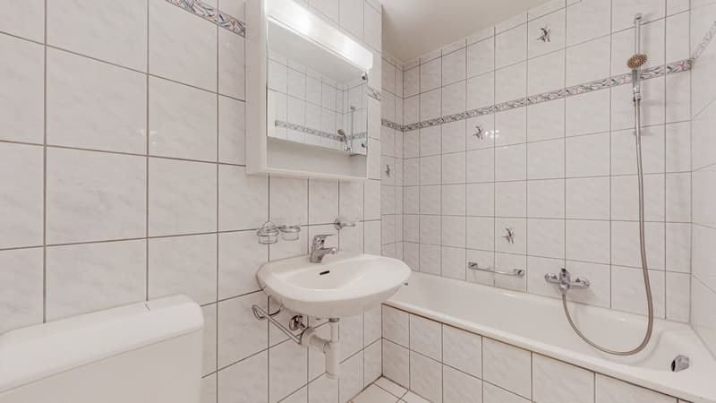 3.5-Zi-Whg-in-Binningen-Bad.jpg