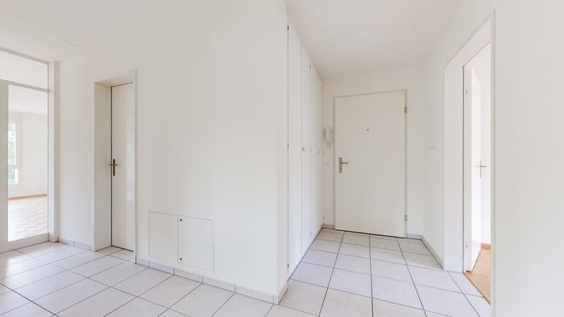 3.5-Zi-Whg-in-Binningen-Eingang.jpg