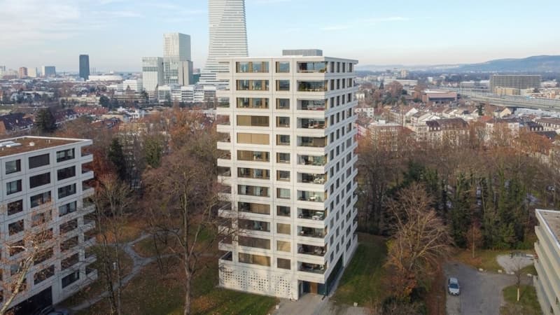 Wohnen auf höchstem Niveau - mit atemberaubendem Blick über Basel (1)