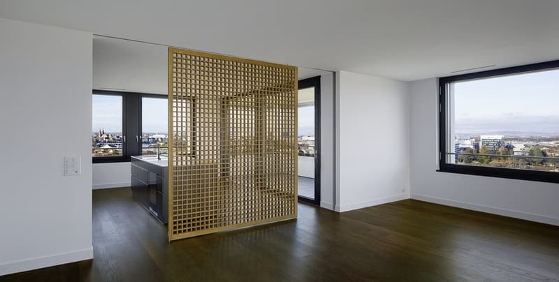 Wohnen auf höchstem Niveau - mit atemberaubendem Blick über Basel (4)