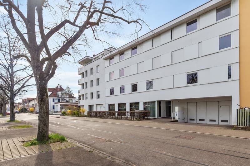 Ihr Rheinspaziergang beginnt direkt vor der Haustüre! (1)