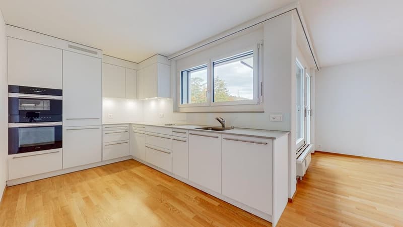 Geniessen Sie den den Feierabend auf Ihrer 126m2 Dachterrasse! (2)