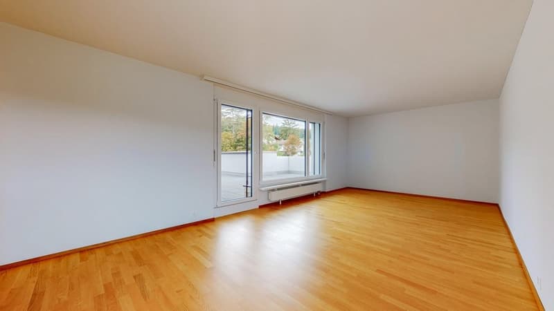 Geniessen Sie den den Feierabend auf Ihrer 126m2 Dachterrasse! (9)