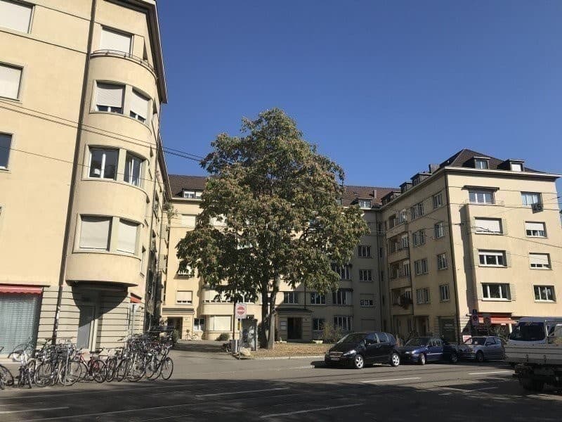 Wohnen, wo Basel am schönsten ist - Altbauwohnung am Basler Rheinbord (1)