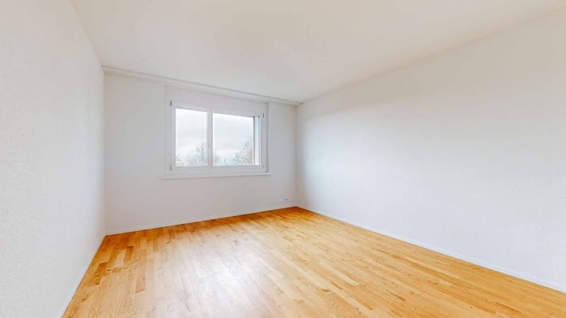 2.5-Zi-Whg-in-Widen-Zimmer-1.jpg