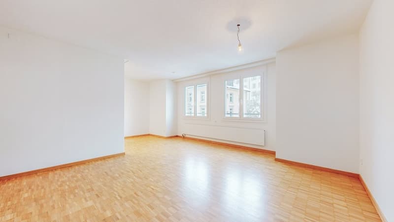 1.5-Zi-Whg-St-Gallen-Wohnraum.jpg