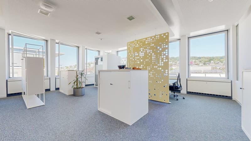 Grosszügige Büroflächen an zentraler Lage in Zürich-West flexibel anmietbar (8)