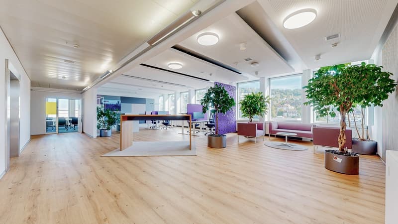 Moderne Bürofläche in Zürich-West rund 1'070 m² mit individuellem Ausbaupotenzial (10)