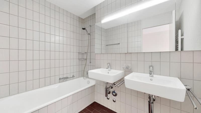 SG-9047-45ZWG-BadmDoppellavabo.jpg