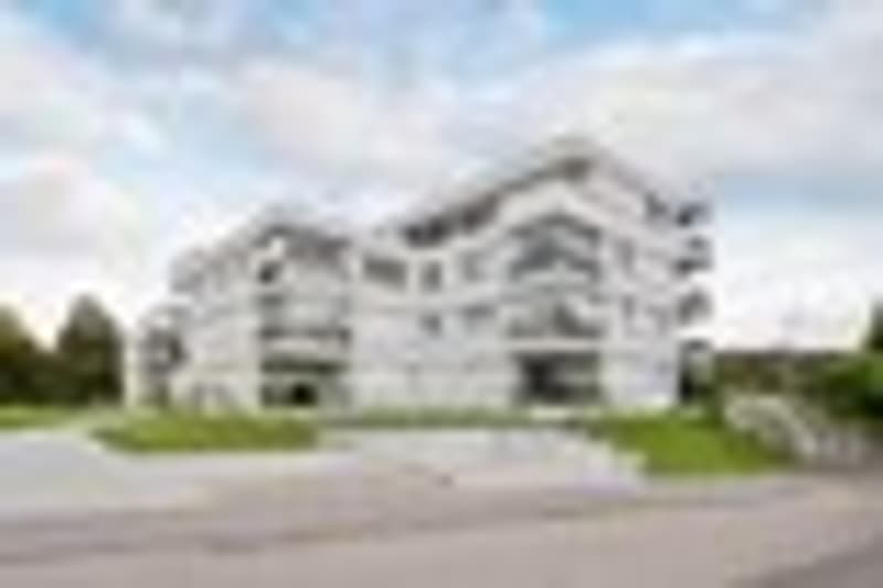 3 ½ Zimmer-Wohnung, 5032 Rohr AG (1)