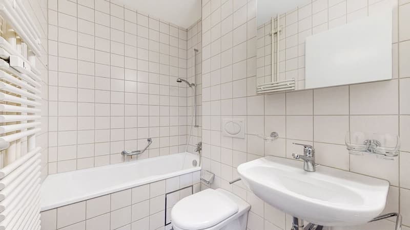Zentrale Wohnung an grüner Lage gesucht? (7)