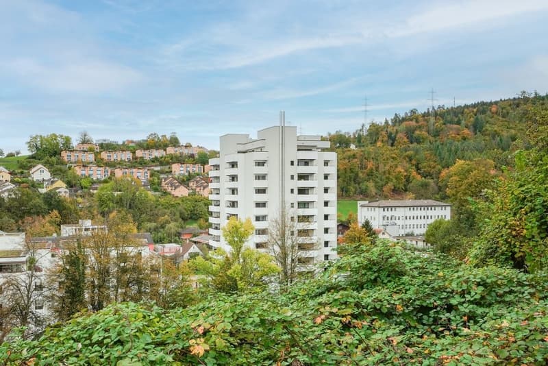 Ein Zuhause zum Bleiben - modern wohnen in Liestal (1)