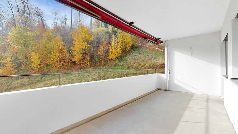 45-Zimmer-Wohnung-in-Liestal-3-OG-Balkon-1.jpg