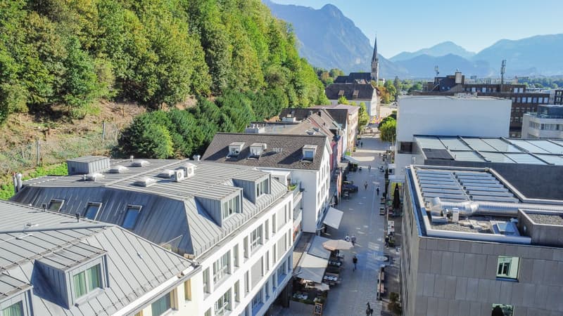 Moderne Bürofläche im Herzen von Vaduz bezugsbereit und flexibel nutzbar (4)