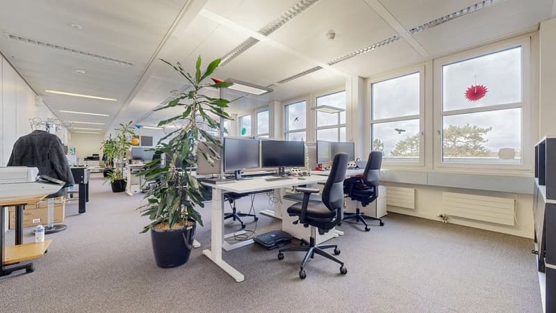 Bevorzugte Lage am Aeschenplatz (3)