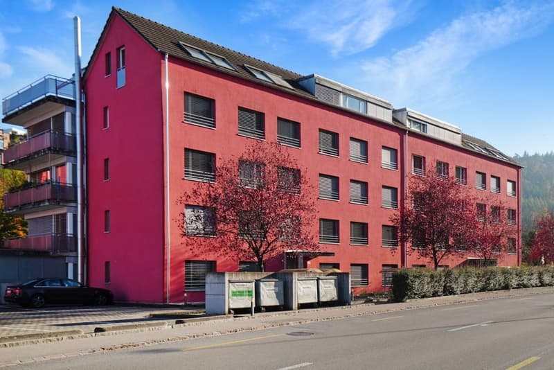 In der Stadt Zuhause, Im Grünen Daheim - Willkommen in Liestal! (1)