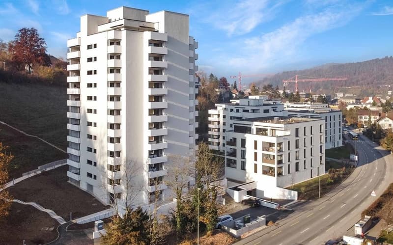 Ihr modernes Zuhause in Liestal (1)