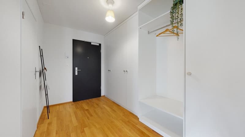 Ihr modernes Zuhause in Liestal (5)