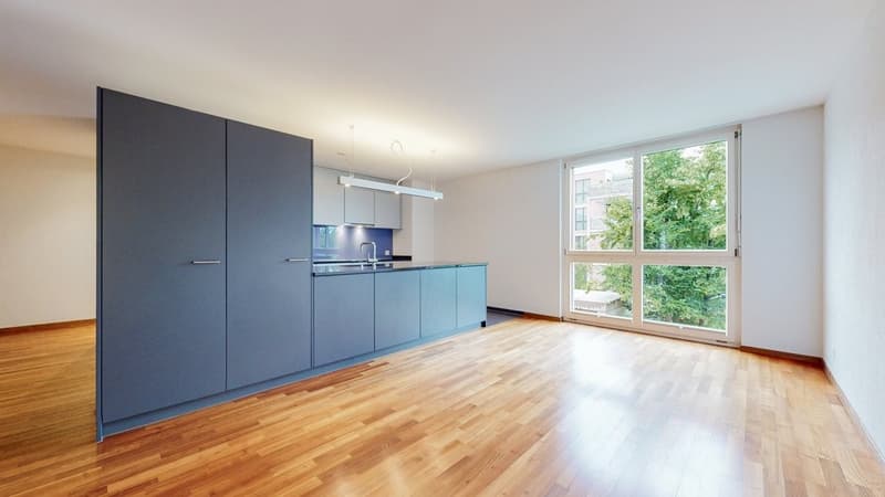 4.5-Zi-Whg-in-Winterthur-EssenKuche.jpg