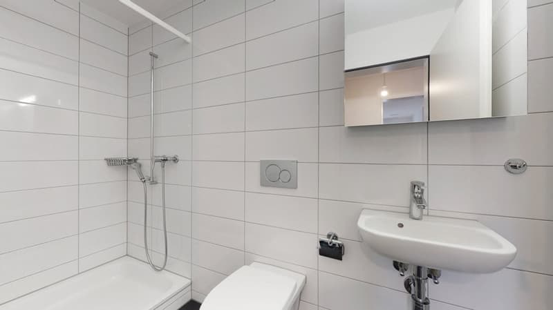 Zentral. Modern. Wirthüsli. (6)
