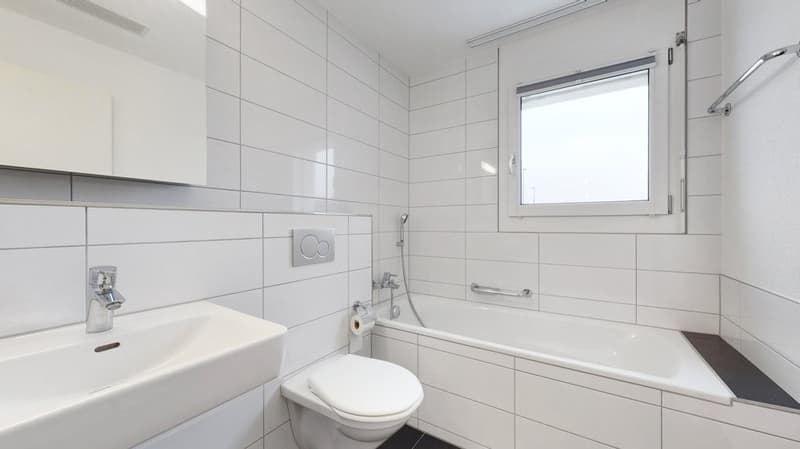 Zentral. Modern. Wirthüsli. (5)