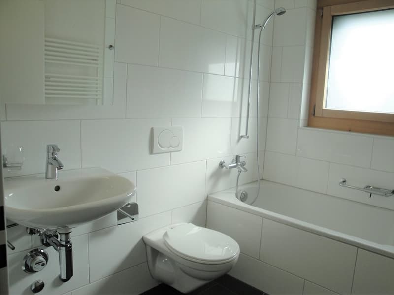 SG-8703-55-0191-Bad-WC1.JPG