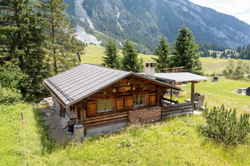 Mountain hut in the high valley of Bargis for sale (11)