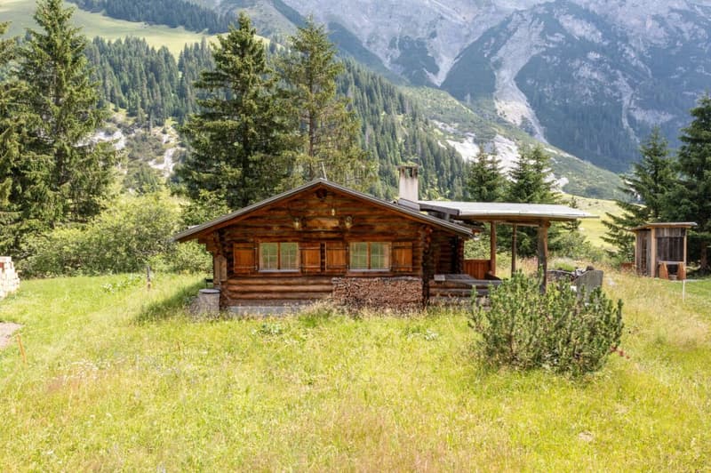 Mountain hut in the high valley of Bargis for sale (1)