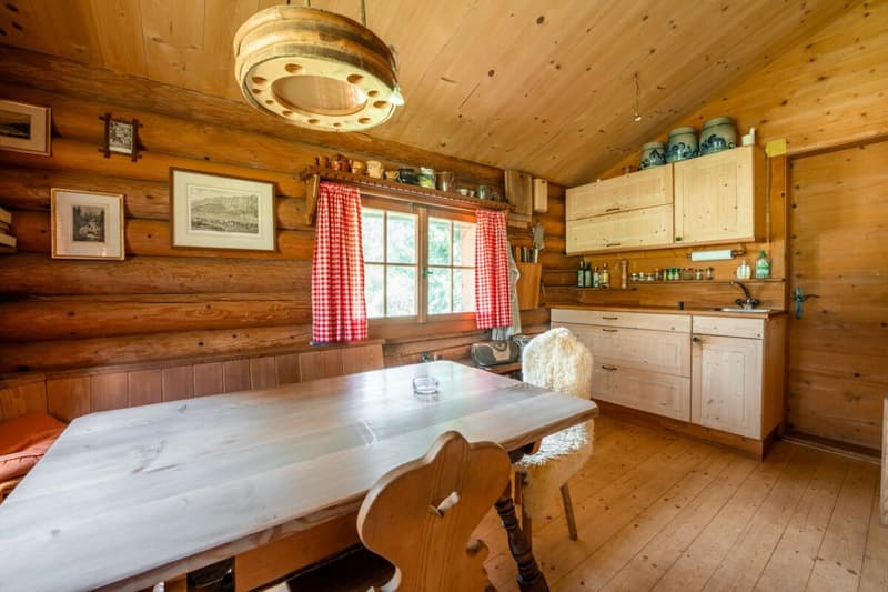 Mountain hut in the high valley of Bargis for sale (4)