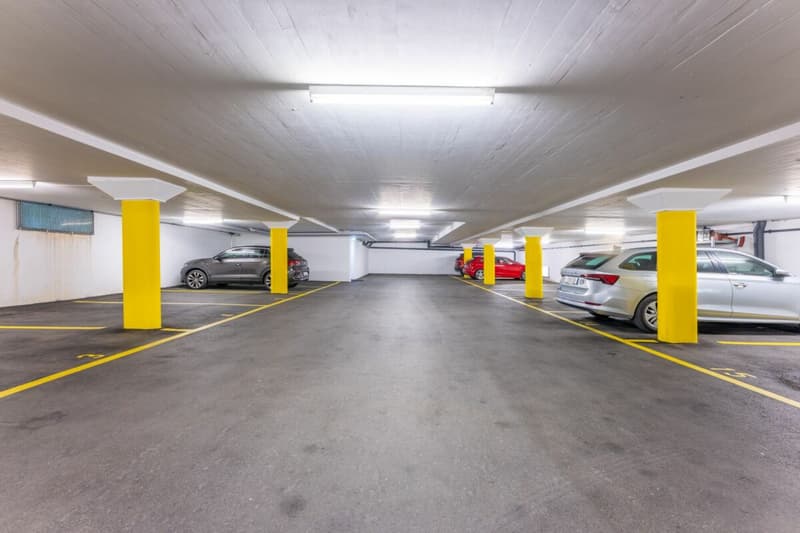 3 1/2 Zimmer Erdgeschosswohnung an ruhiger Lage zu verkaufen (14)