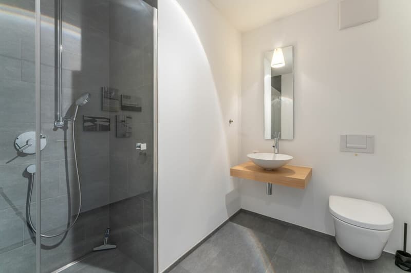 3 1/2 Zimmer Erdgeschosswohnung an ruhiger Lage zu verkaufen (9)