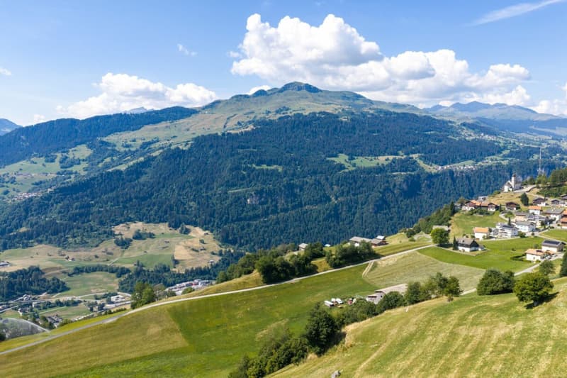Appartement de 2.5 pièces au rez-de-chaussée à Ladir à vendre (17)