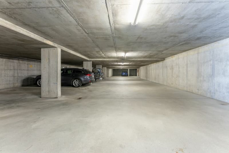 Appartement de 2.5 pièces au rez-de-chaussée à Ladir à vendre (11)