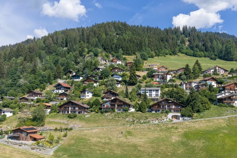 Appartement de 2.5 pièces au rez-de-chaussée à Ladir à vendre (18)