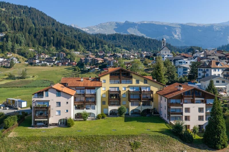 3 1/2 Zimmerwohnung im Surselvapark LAAX zu verkaufen (14)