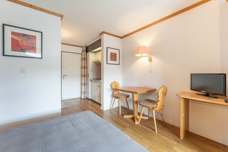 Studio im 4. Stock mit schöner Aussicht Richtung Süden (3)
