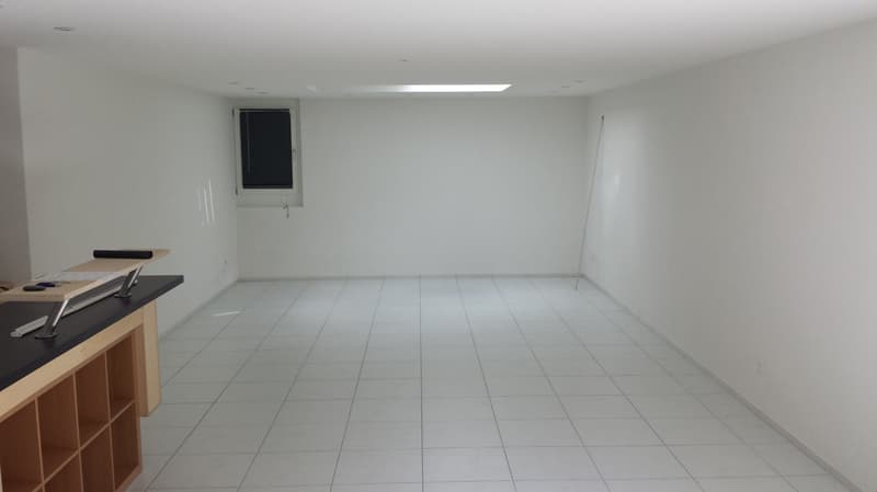 schöne 1-Zimmer-Studio im EG in gepflegter Liegenschaft (4)