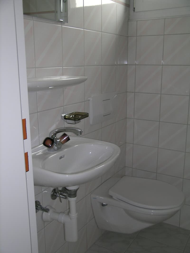 Grand appartement de 4,5 pièces sous les toits dans une maison de 3 familles avec vue panoramique (11)
