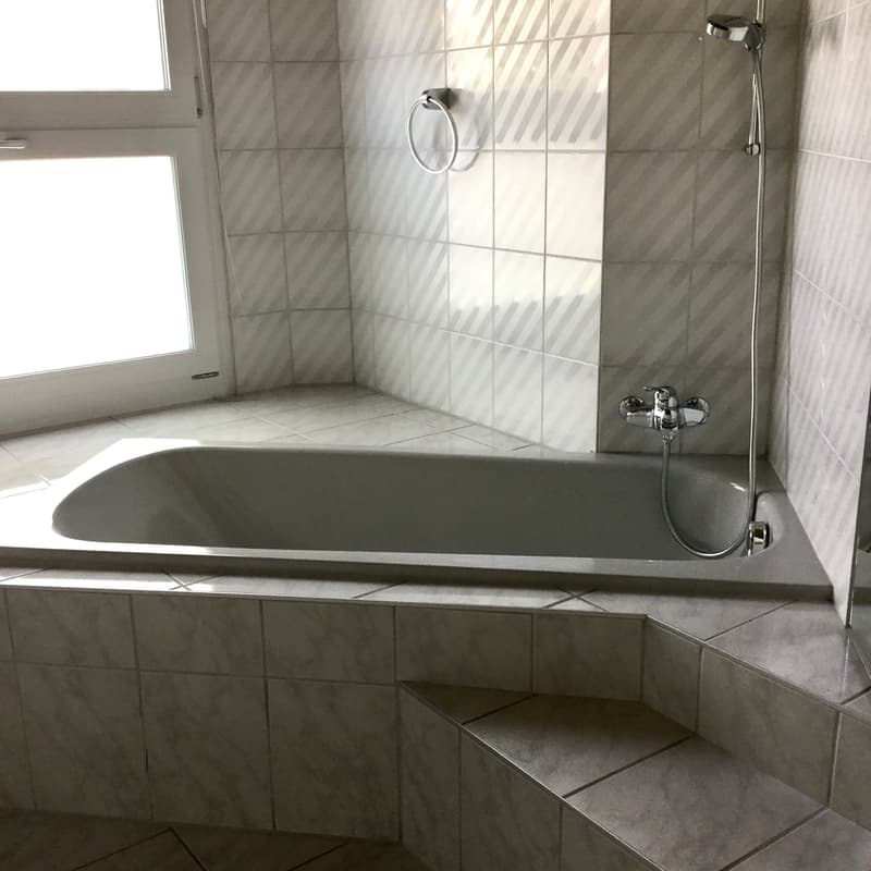 Grand appartement de 4,5 pièces sous les toits dans une maison de 3 familles avec vue panoramique (9)
