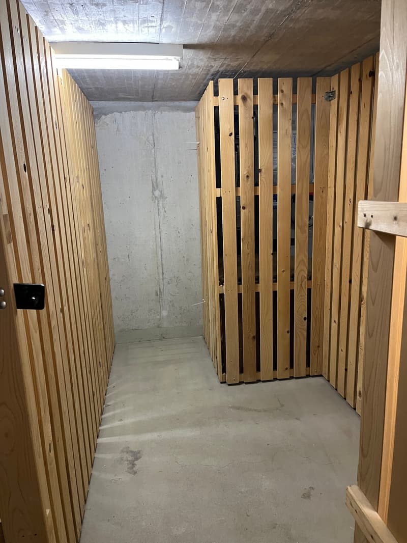 Grand appartement de 4,5 pièces sous les toits dans une maison de 3 familles avec vue panoramique (19)