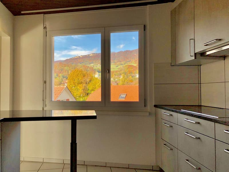 Grand appartement de 4,5 pièces sous les toits dans une maison de 3 familles avec vue panoramique (8)