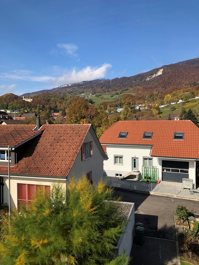 Grand appartement de 4,5 pièces sous les toits dans une maison de 3 familles avec vue panoramique (15)