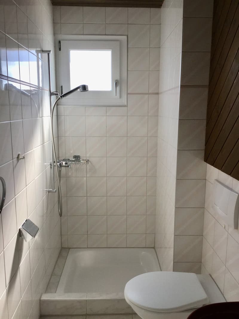 Grand appartement de 4,5 pièces sous les toits dans une maison de 3 familles avec vue panoramique (10)