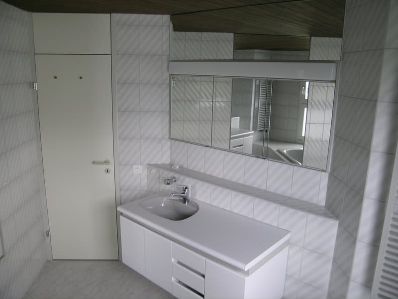 Grand appartement de 4,5 pièces sous les toits dans une maison de 3 familles avec vue panoramique (12)