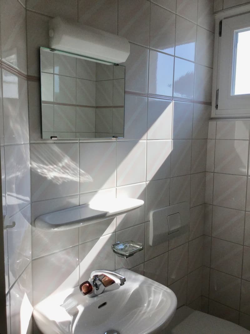 Exklusive grosse 4.5 Zi. Dachwohnung in 3 Familienhaus mit Rundumsicht inkl. eigener Hobbyraum (9)